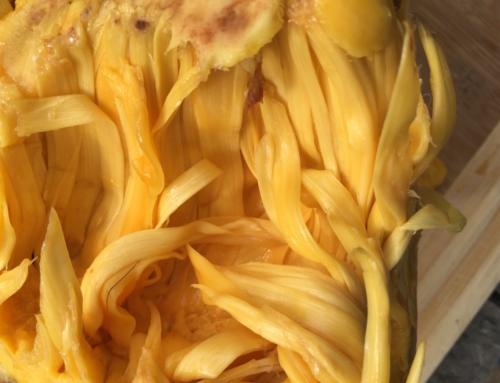 Jackfruit – nutrient list and health benefits