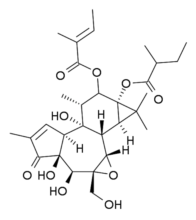 EBC-46_structure